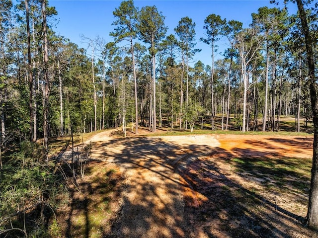 17.77ACRES Nicaud Rd, Folsom, LA 70437