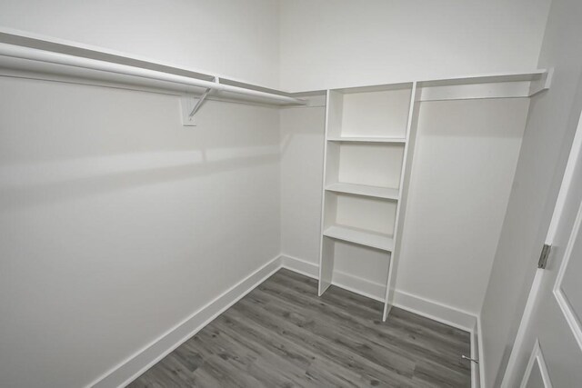 spacious closet with dark hardwood / wood-style flooring