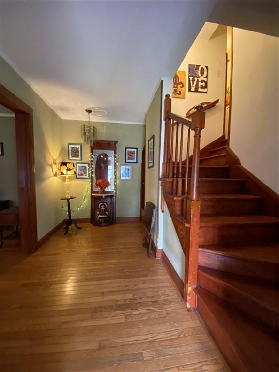 stairs featuring hardwood / wood-style flooring