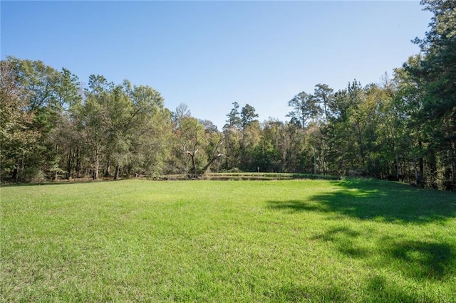 69310 Jenkins Rd, Covington, LA 70433 - view of grassy yard featuring a wooded view