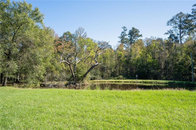 view of yard featuring a water view