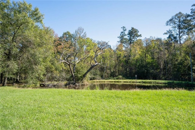 69310 Jenkins Rd, Covington, LA 70433 - view of yard with a water view and a view of trees