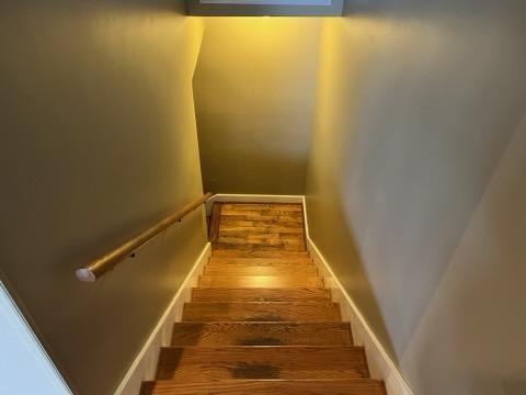 staircase with hardwood / wood-style floors