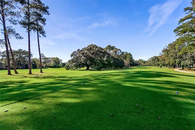 view of community with a lawn