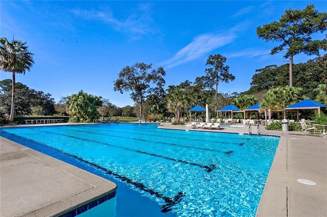 view of pool featuring a patio