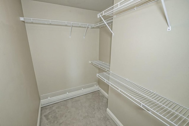 walk in closet featuring light colored carpet