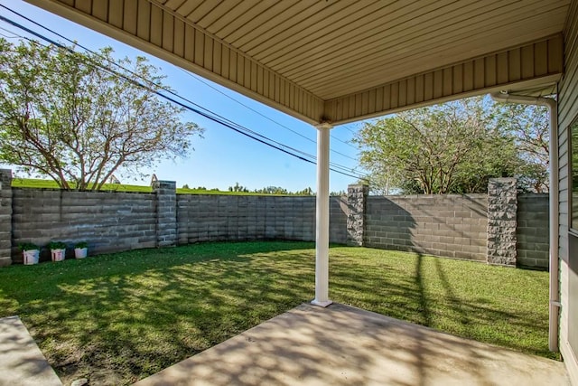 view of yard featuring a patio