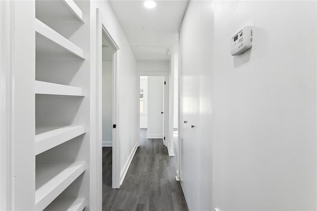 hall with dark hardwood / wood-style flooring