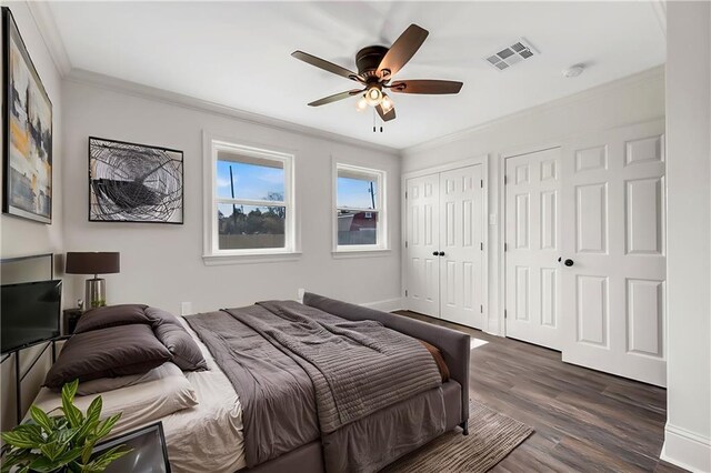 bedroom with ceiling fan, multiple closets, dark hardwood / wood-style flooring, and crown molding