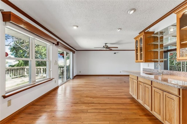 kitchen featuring ceiling fan, light hardwood / wood-style flooring, a healthy amount of sunlight, and sink