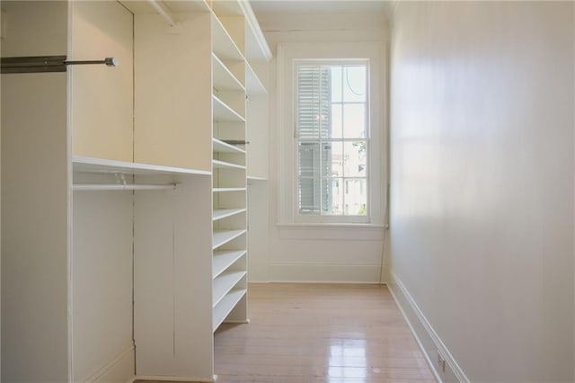 spacious closet featuring light hardwood / wood-style flooring