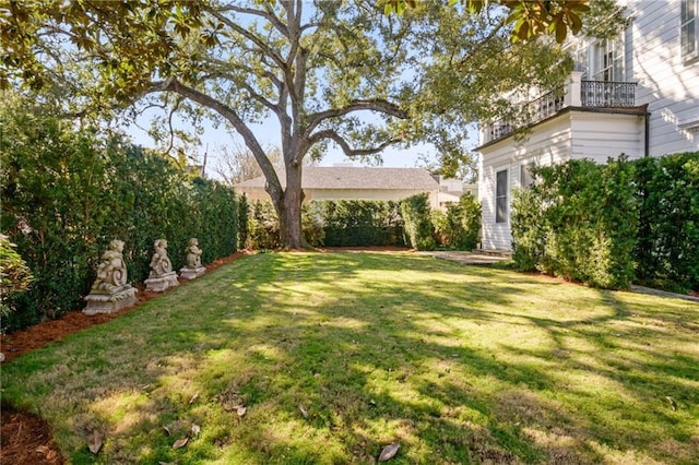 view of yard with a balcony