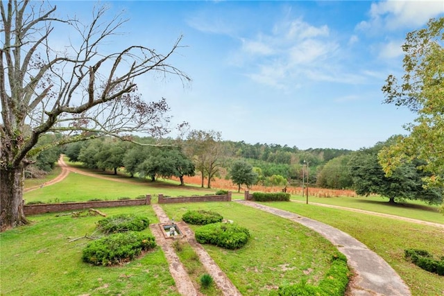 2513 Red Lick Rd, Lorman, MS 39096 - surrounding community featuring a lawn