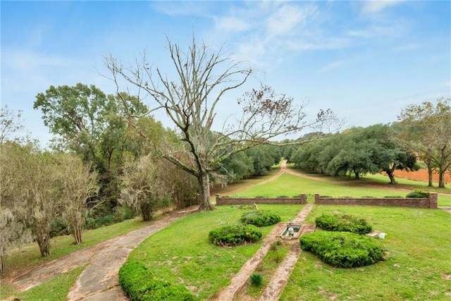 2513 Red Lick Rd, Lorman, MS 39096 - view of community with a lawn