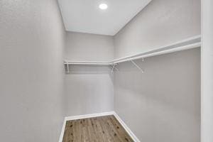 spacious closet featuring wood-type flooring