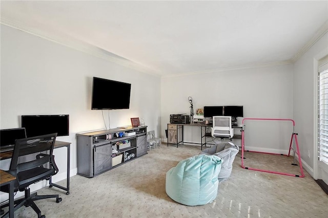 office area featuring crown molding and carpet flooring