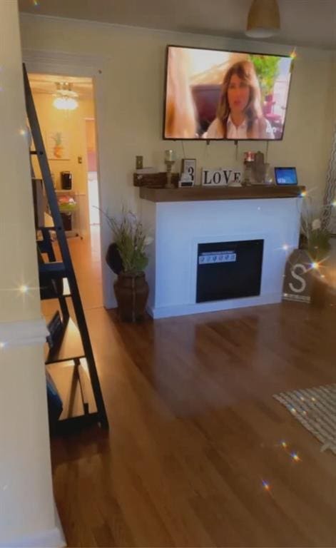 living room with a fireplace and wood-type flooring