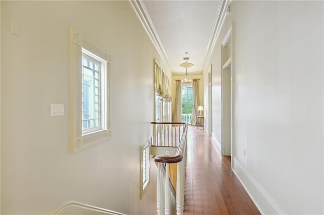 corridor with crown molding, dark hardwood / wood-style floors, and an inviting chandelier