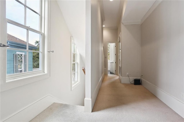 hall with carpet floors and crown molding