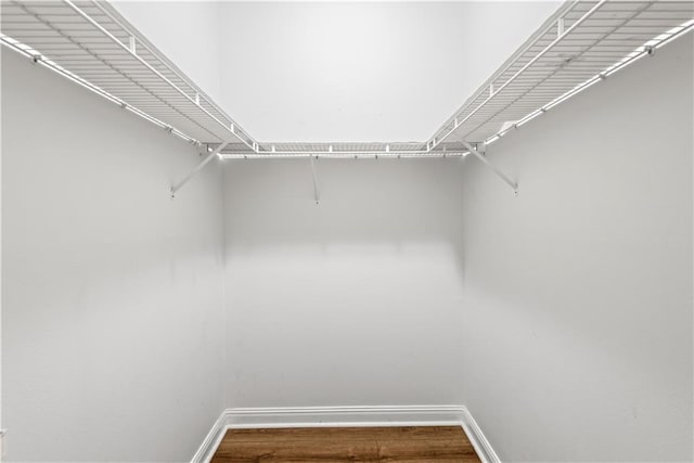 walk in closet with hardwood / wood-style floors