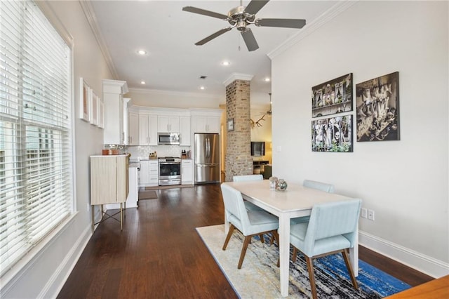 dining room with crown molding, ceiling fan, and dark wood-type flooring