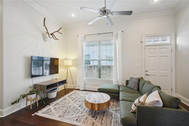 living room with ceiling fan, ornamental molding, and dark wood-type flooring