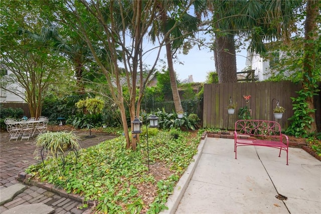 view of yard with a patio