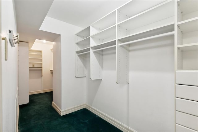 walk in closet featuring dark colored carpet