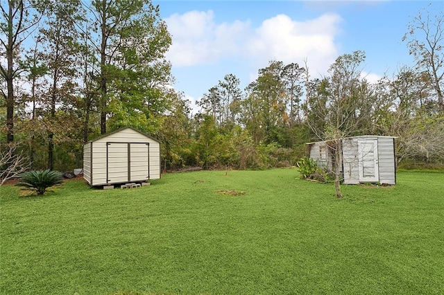 view of yard featuring a storage shed