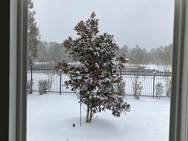 view of yard covered in snow