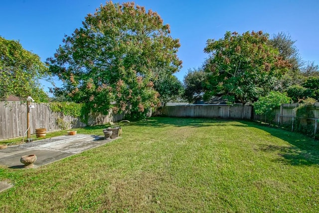 view of yard featuring a patio