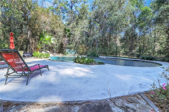 view of swimming pool featuring a patio area