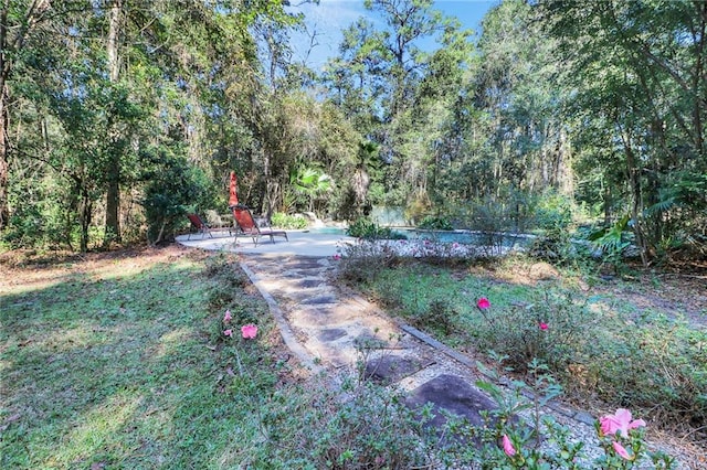 view of yard with a patio