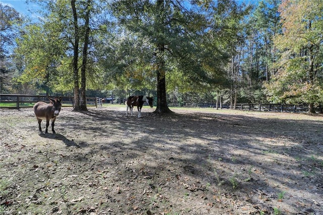 view of yard with a rural view