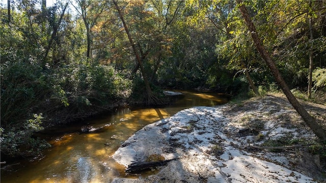 view of local wilderness