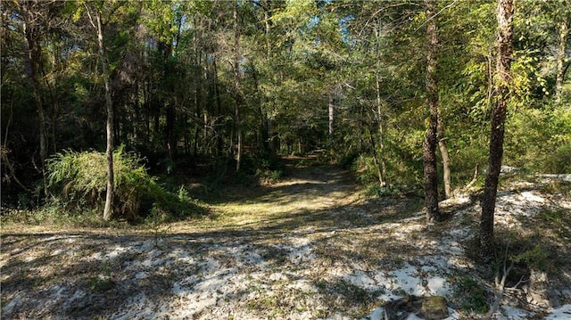 view of landscape