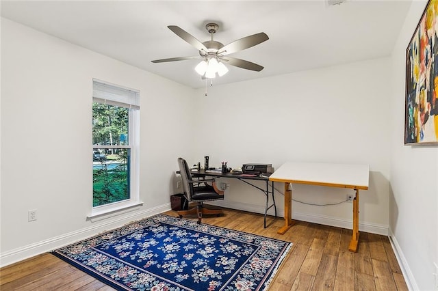 office featuring ceiling fan and hardwood / wood-style flooring