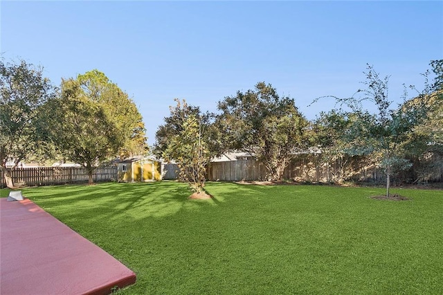 view of yard featuring a shed