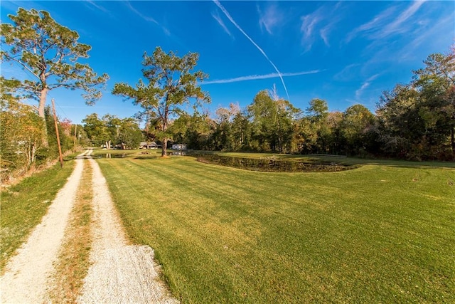 view of yard featuring driveway