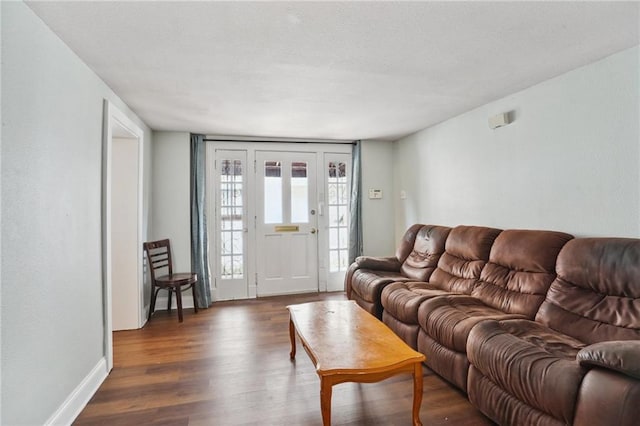 living room featuring dark wood-type flooring