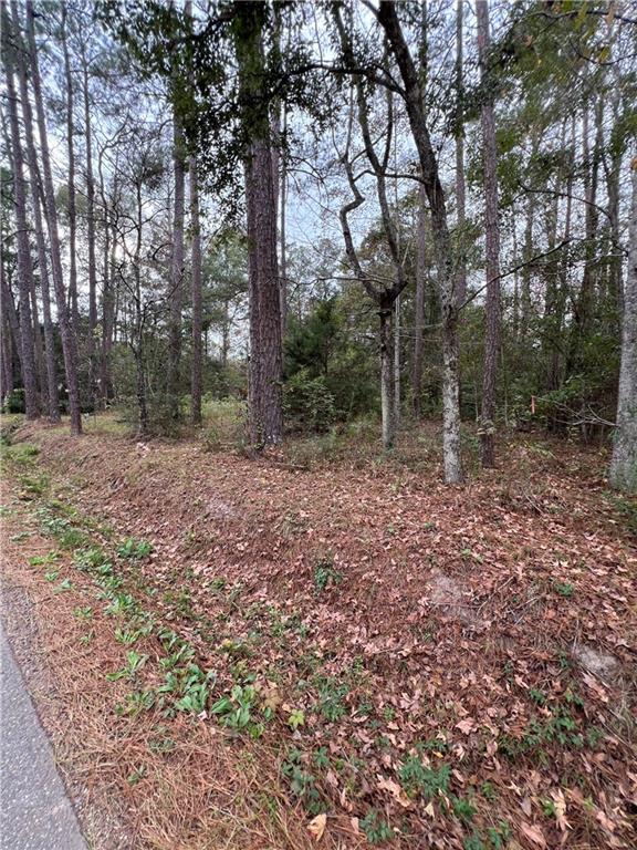 73087 Allen Rd, Abita Springs, LA 70420 - photo 3