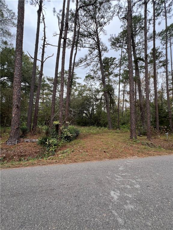 73087 Allen Rd, Abita Springs, LA 70420 - photo 4