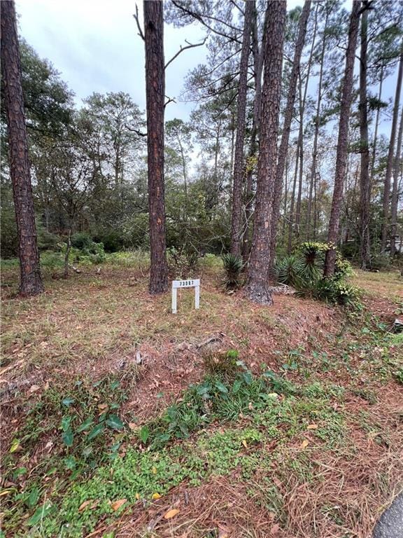 73087 Allen Rd, Abita Springs, LA 70420 - photo 5