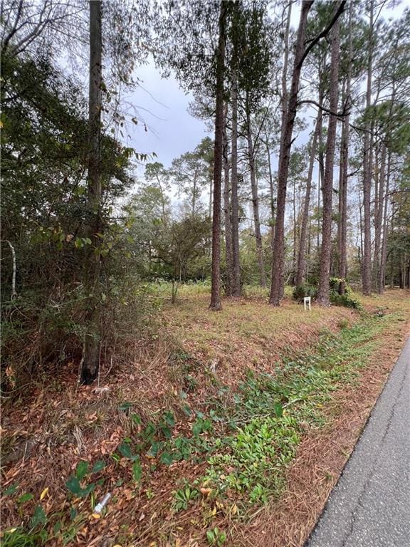 73087 Allen Rd, Abita Springs, LA 70420 - photo 6