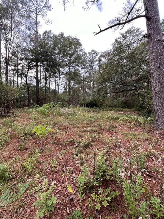 73087 Allen Rd, Abita Springs, LA 70420 - photo 7