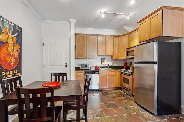 kitchen featuring light brown cabinets, sink, rail lighting, ornamental molding, and appliances with stainless steel finishes