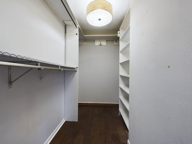 spacious closet featuring dark hardwood / wood-style flooring