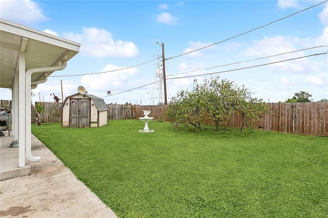 view of yard with a shed