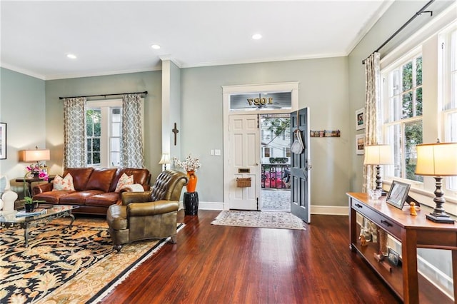 living room with dark hardwood / wood-style floors, ornamental molding, and a wealth of natural light