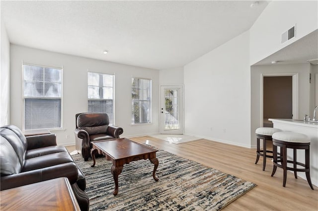 living room featuring light wood-type flooring and vaulted ceiling